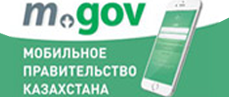 Public services and information online