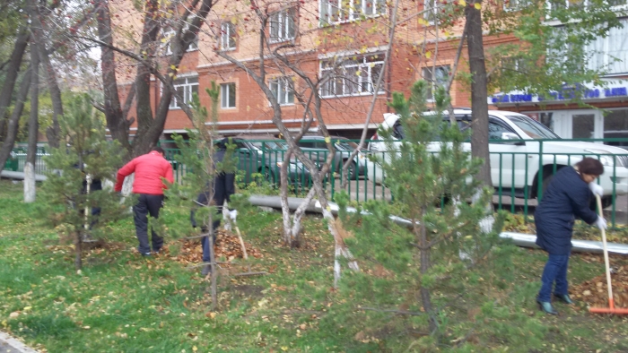 Жалпықалалық сенбілік