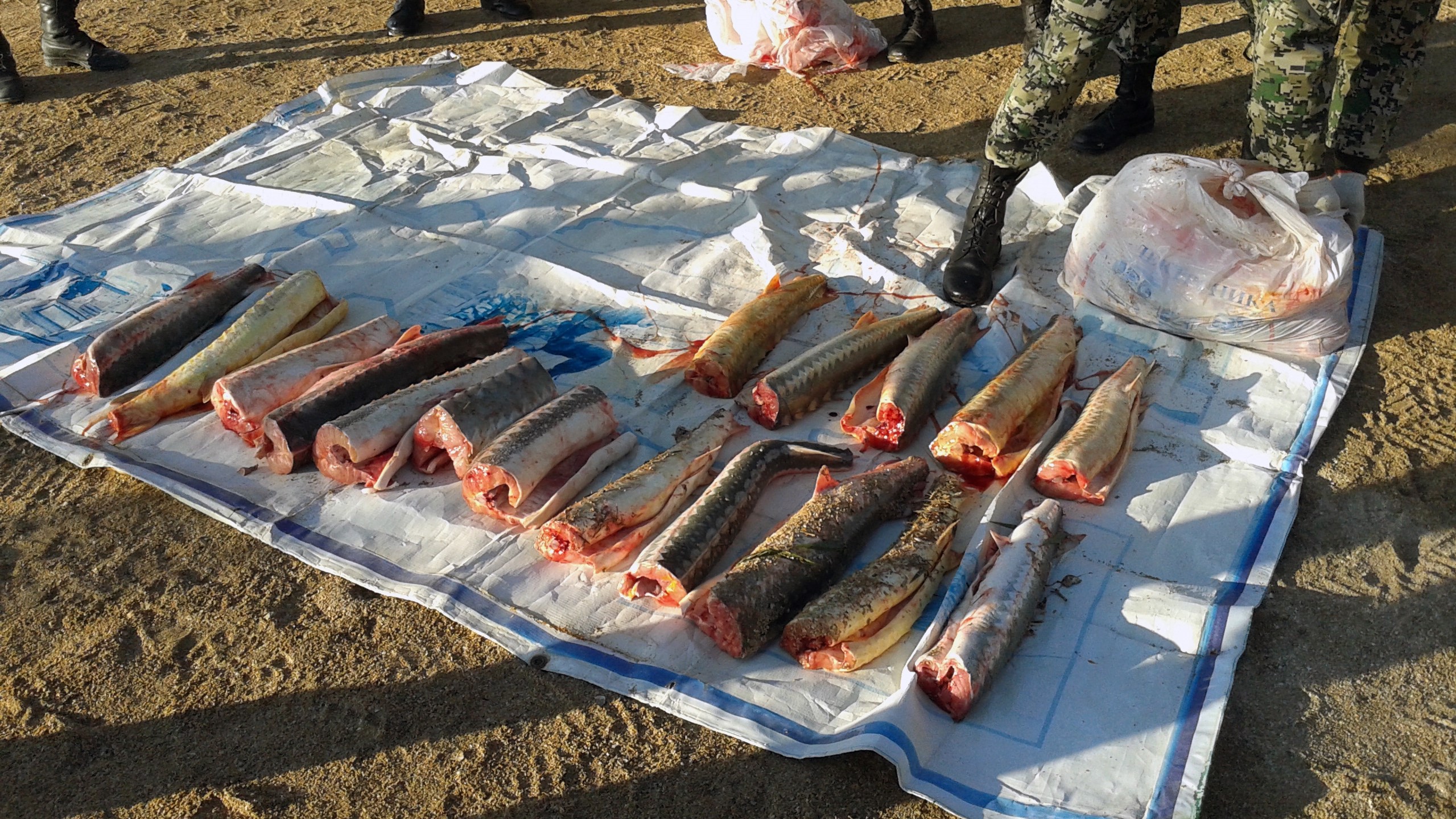 Экологиялық зардаптың алдын алу туралы