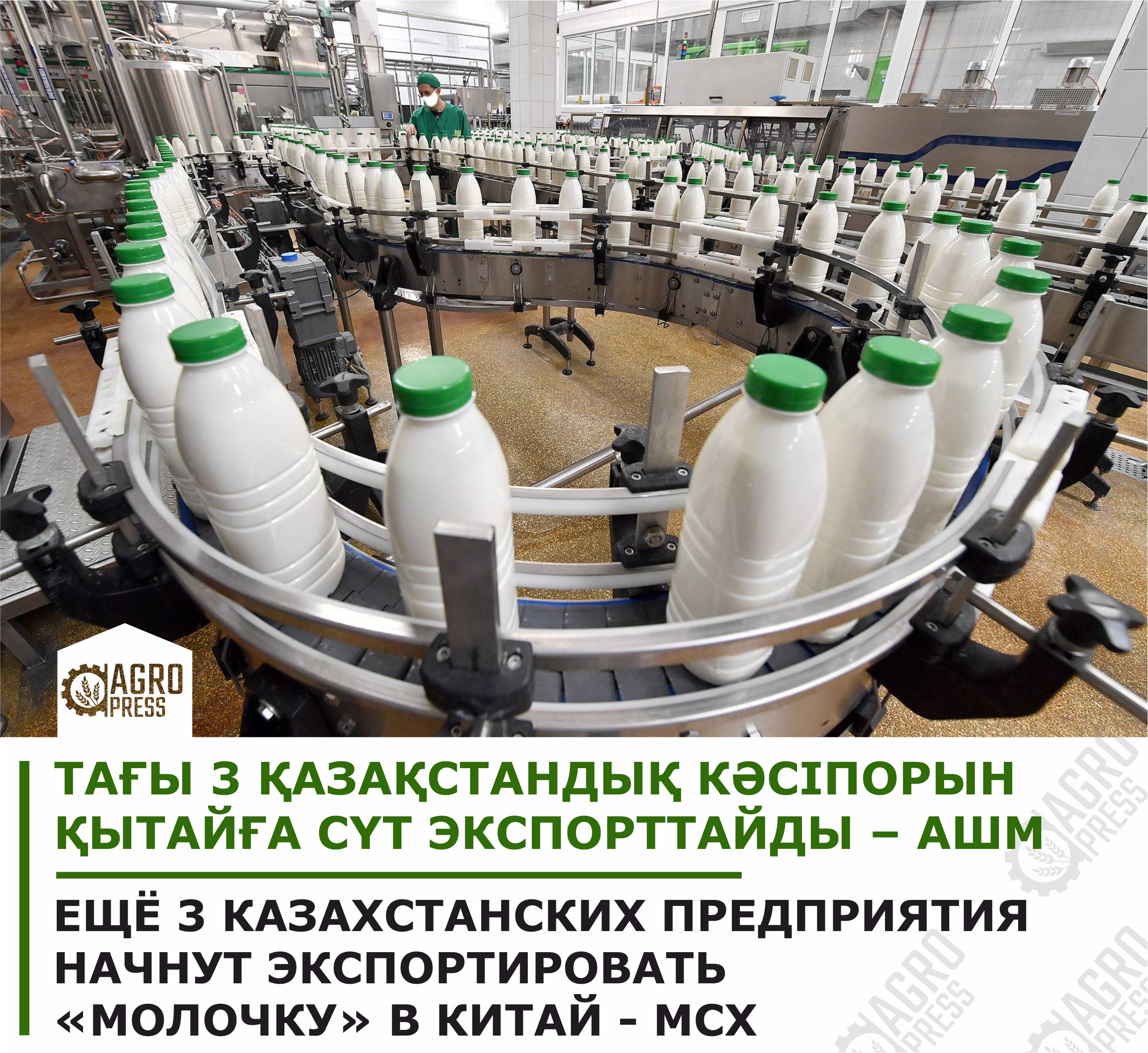 отходы молочного производства. утилизация молочной продукции. молочная фабрика. пастеризатор молока на заводе. отходы молочного производства.