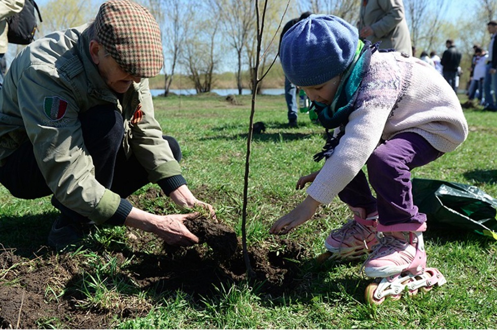 В Жетысуском районе Алматы высадили более 8 600 молодых деревьев