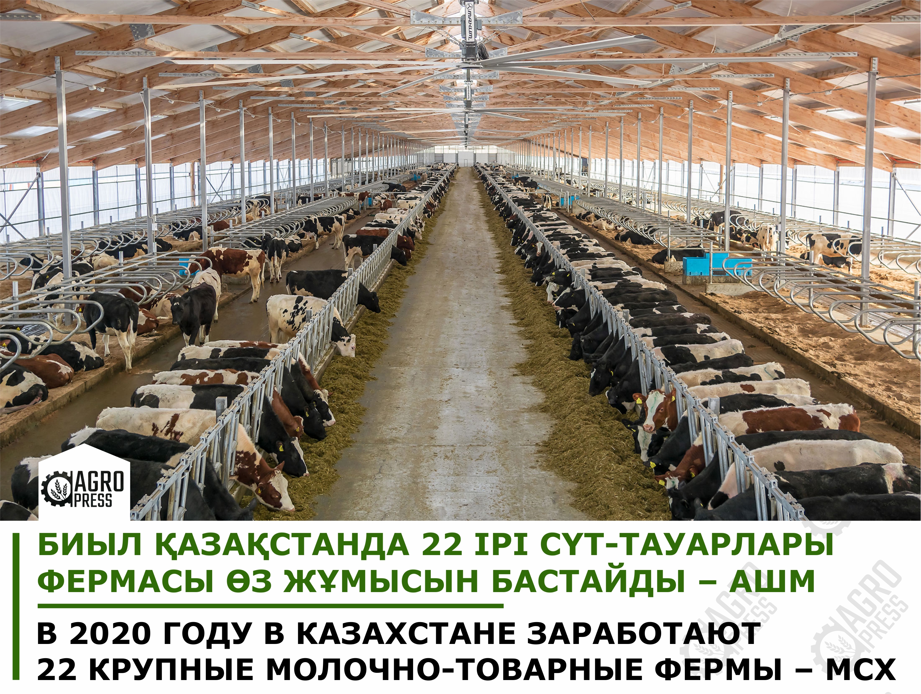 Продажа Ферма В Нижегородской Области На Авито
