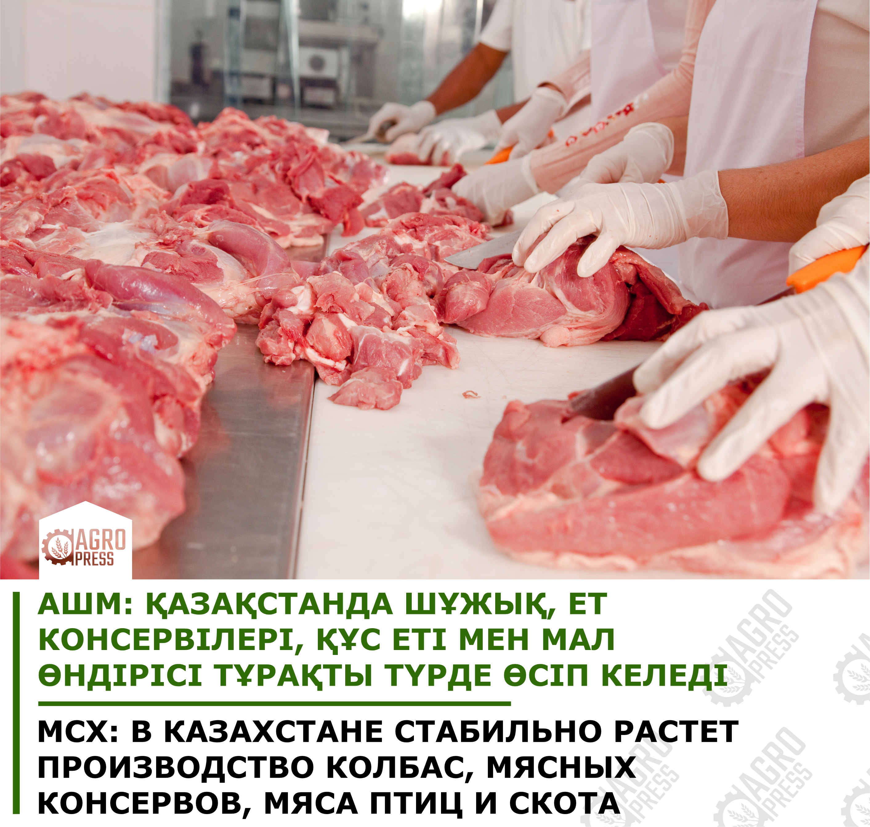 Переработка мяса предприятия. Ветеринарно-санитарная экспертиза мяса и мясопродуктов. Ветеринарно санитарная экспертиза свинины.