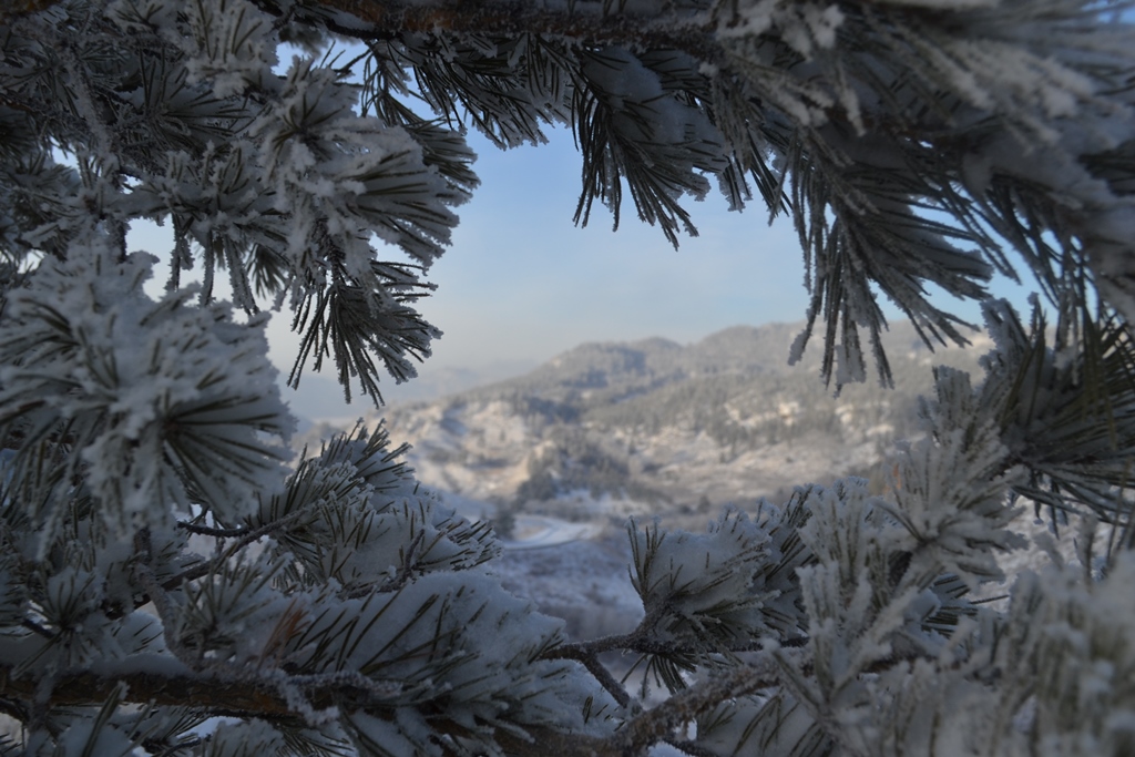 Янаның бөксесі