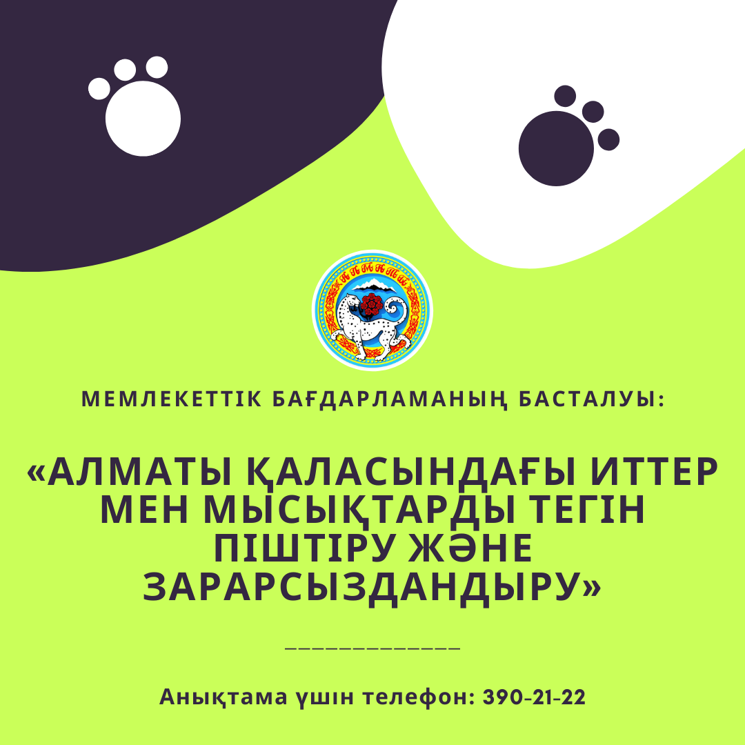 Алматыда «Иттер мен мысықтарды тегін піштіру және зарарсыздандыру» бағдарламасы қайта жанартылды