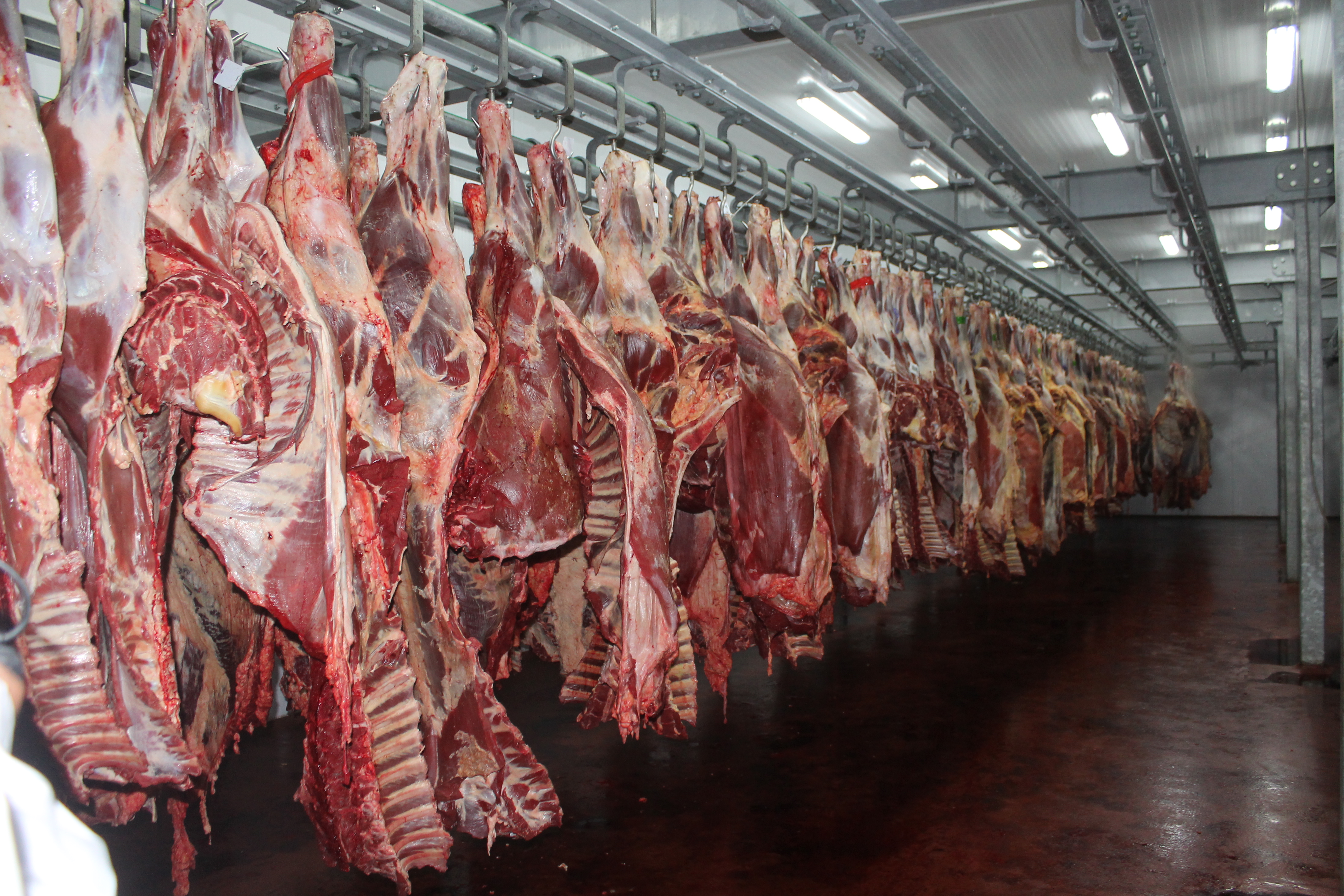 http://zhaikpress.kz/ru/news/kublej-iz-za-vyplaty-subsidij-obemy-sdachi-skota-na-uboj-mogut-vyrasti-na-30/