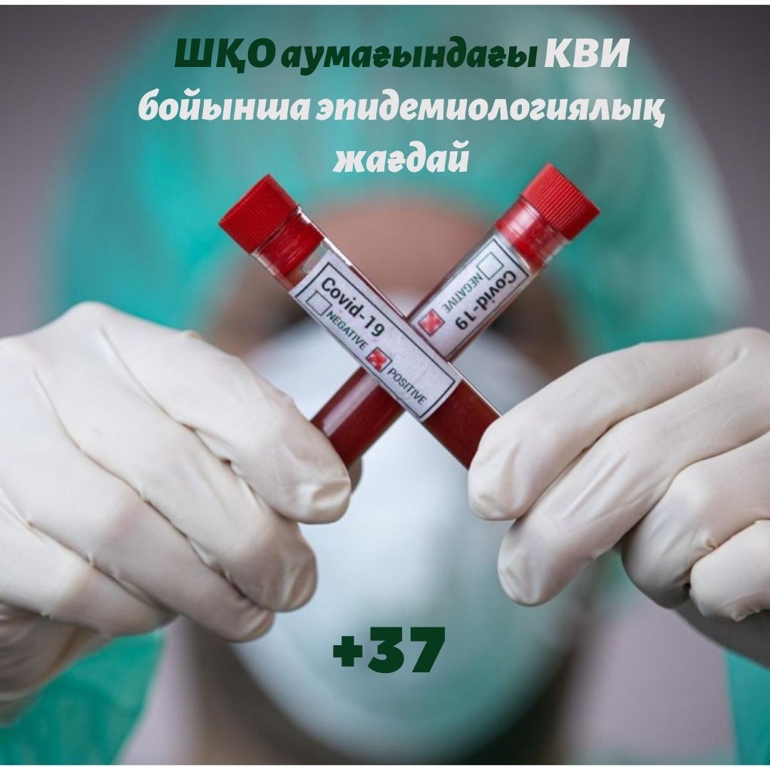 Шығыс Қазақстан облысы аумағындағы КВИ бойынша эпидемиологиялық жағдай