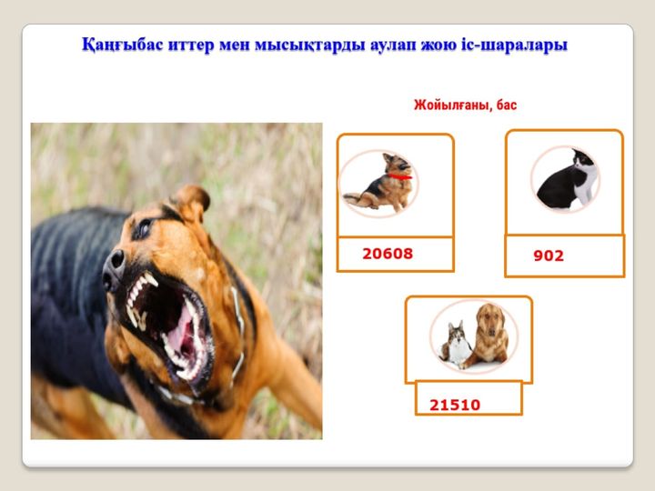 Ретро хардкор порно