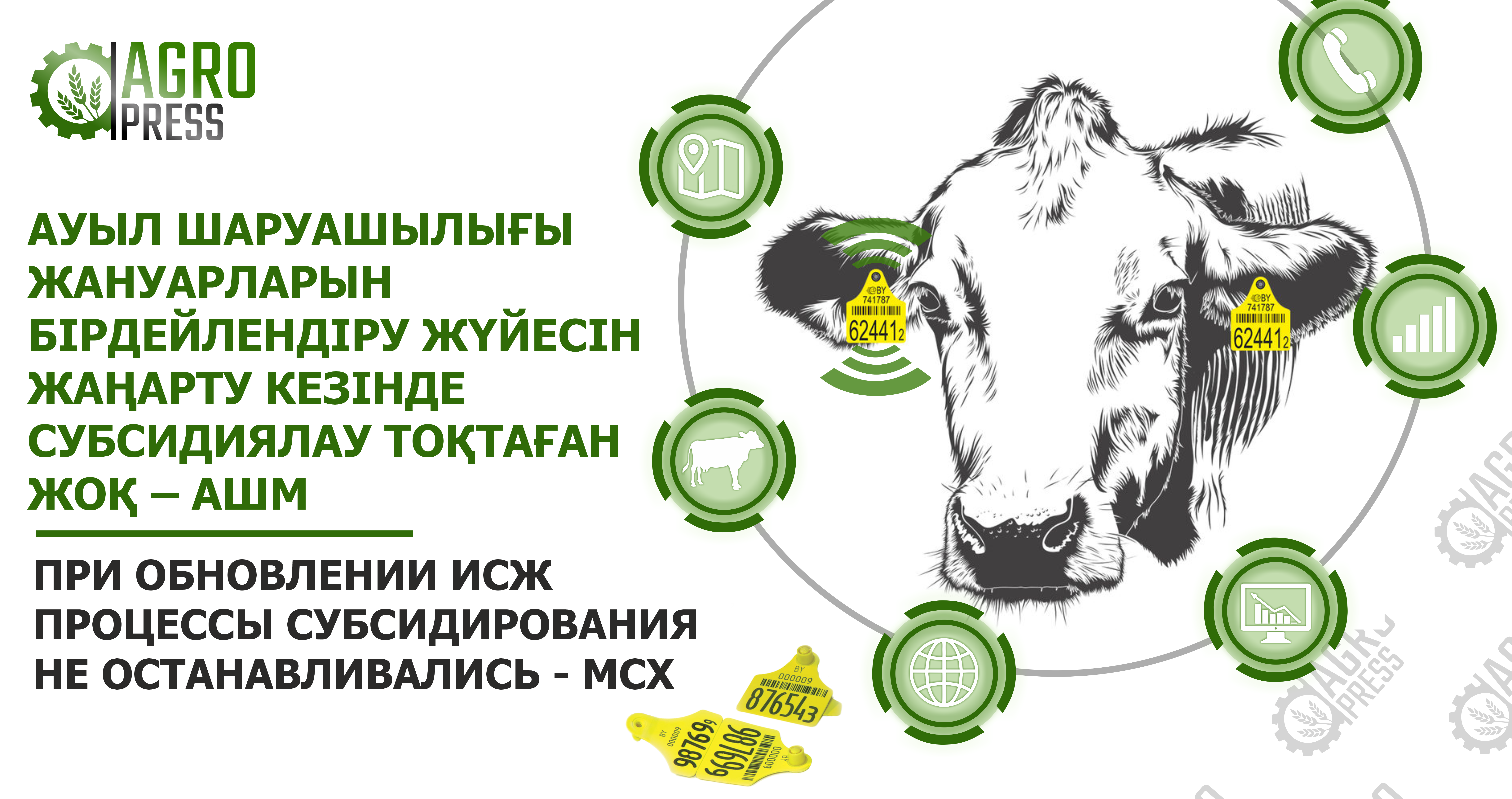 Исж вход в базу. Маркировка сельскохозяйственных животных. Бірдейлендіру. Маркировка КРС В системе Хорриот. Логотип сельского хозяйства молочного комплекса.