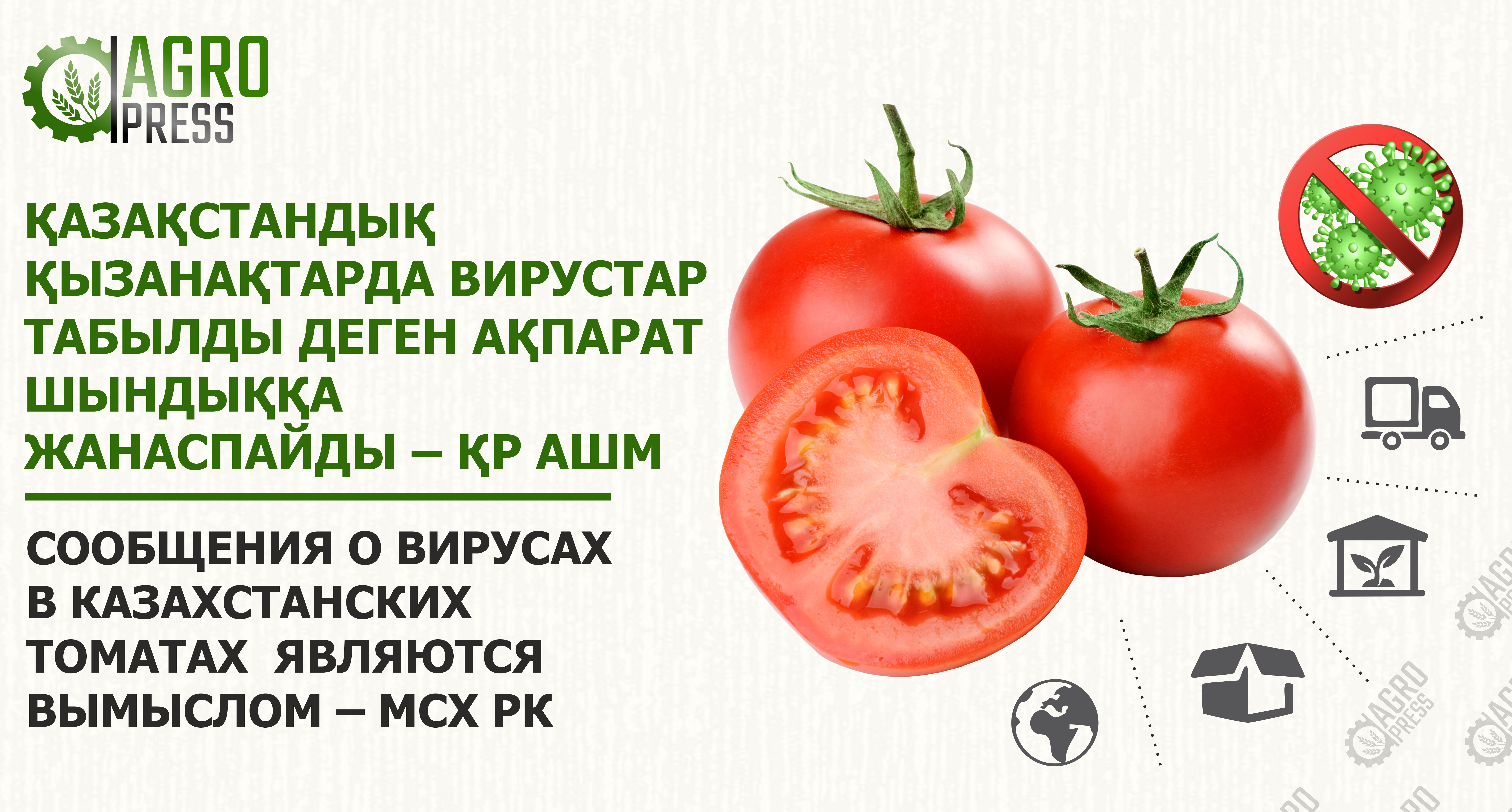 Сообщения о вирусах в казахстанских томатах являются вымыслом – МСХ РК