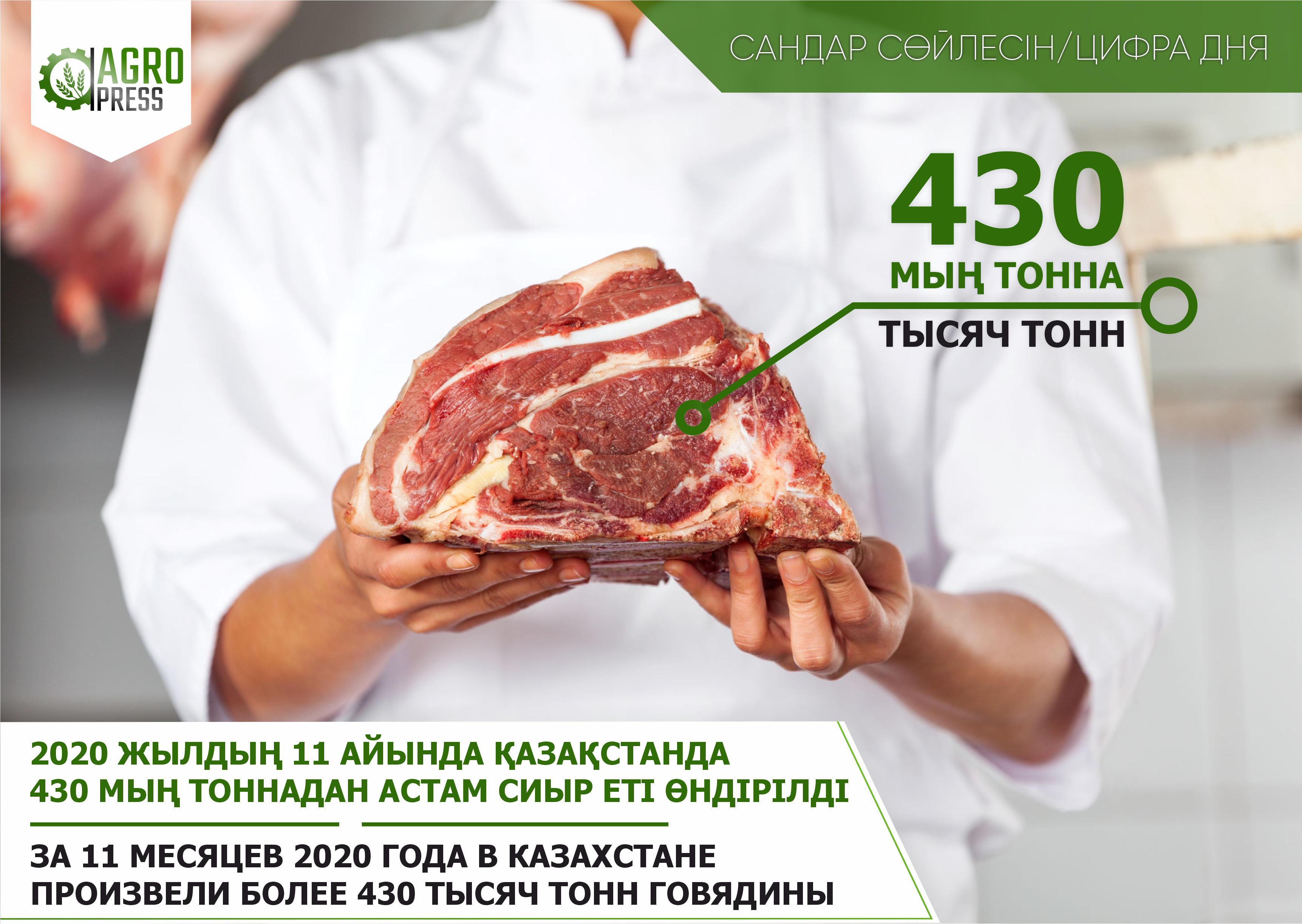 За 11 месяцев 2020 года в Казахстане произвели более 430 тысяч тонн говядины