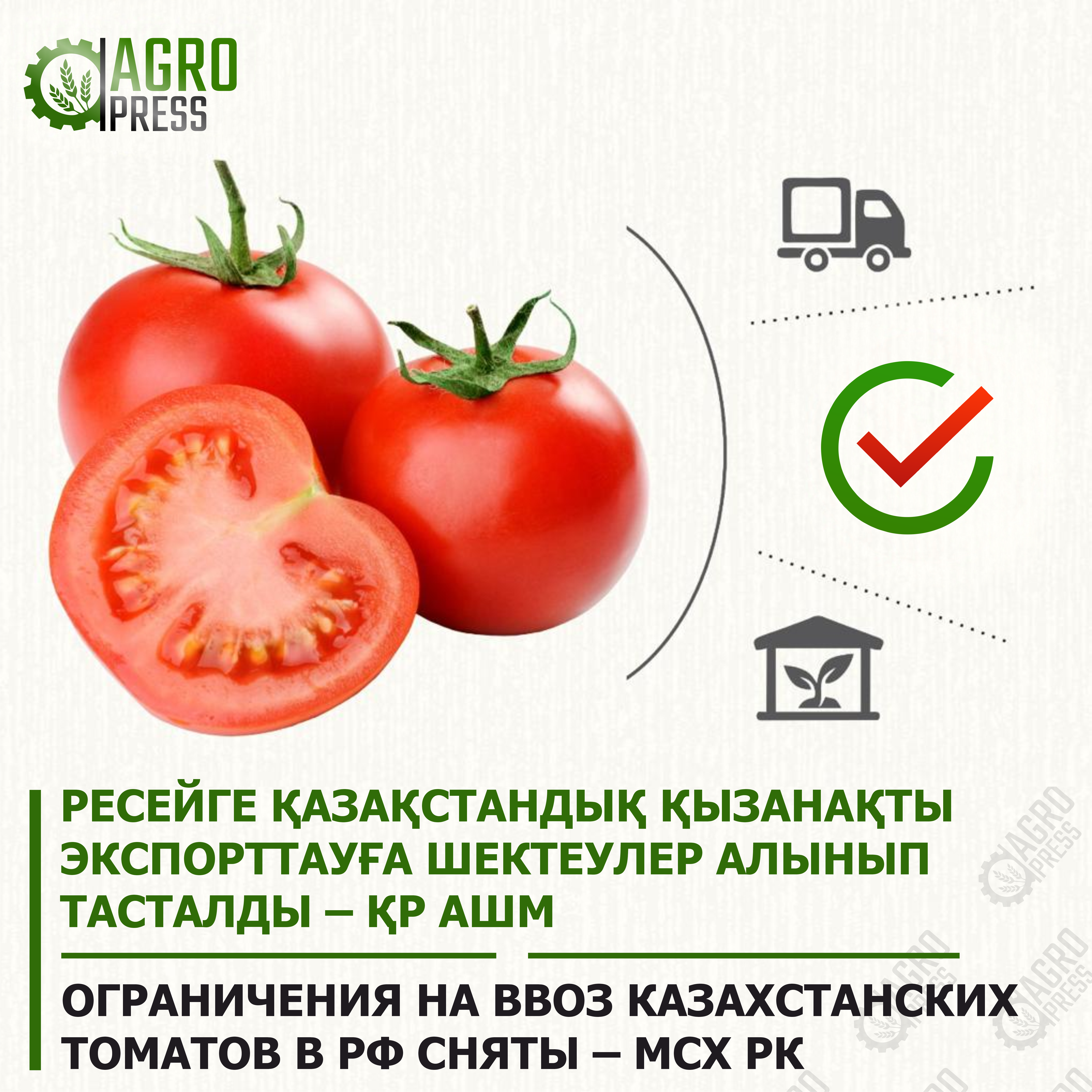 Ограничения на ввоз казахстанских томатов в РФ сняты – МСХ РК