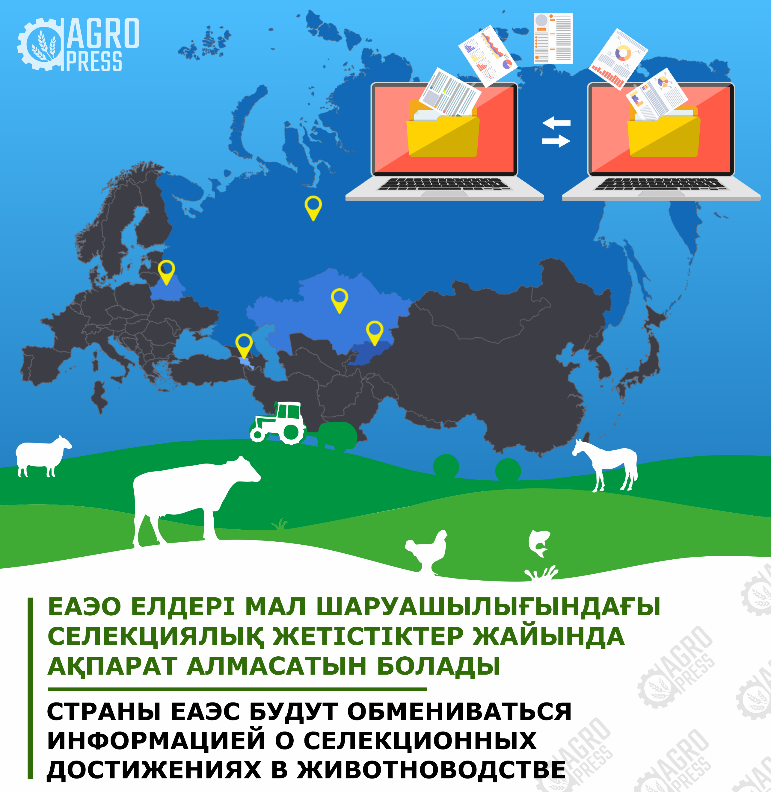 Страны ЕАЭС будут обмениваться информацией о селекционных достижениях в животноводстве