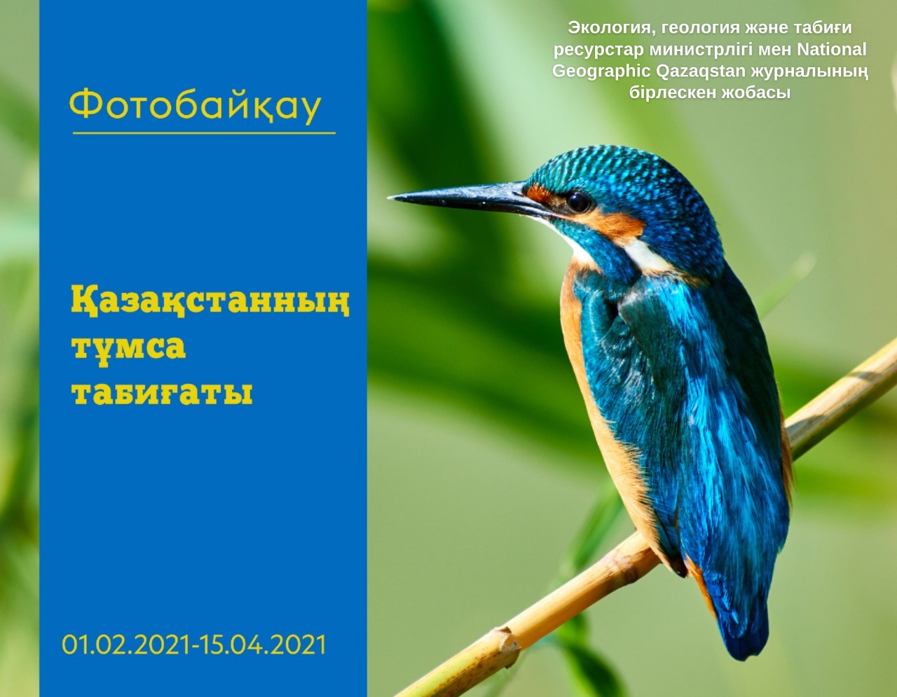 Экология министрлігі мен National Geographic Qazaqstan «Қазақстанның тұмса табиғаты» атты фотобайқау өткізеді