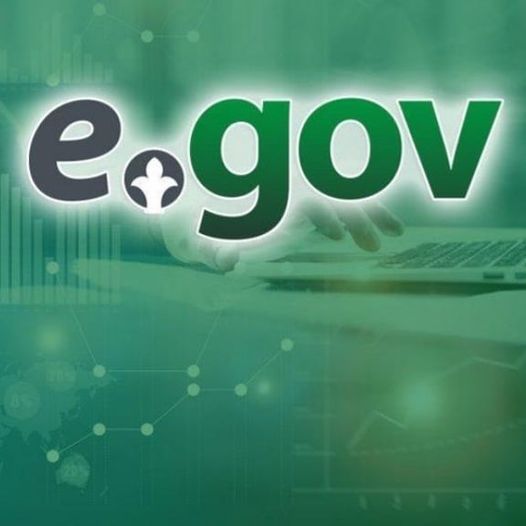 Сайтта egov.kz анықтаманың келесі түрлерін алуға болады: