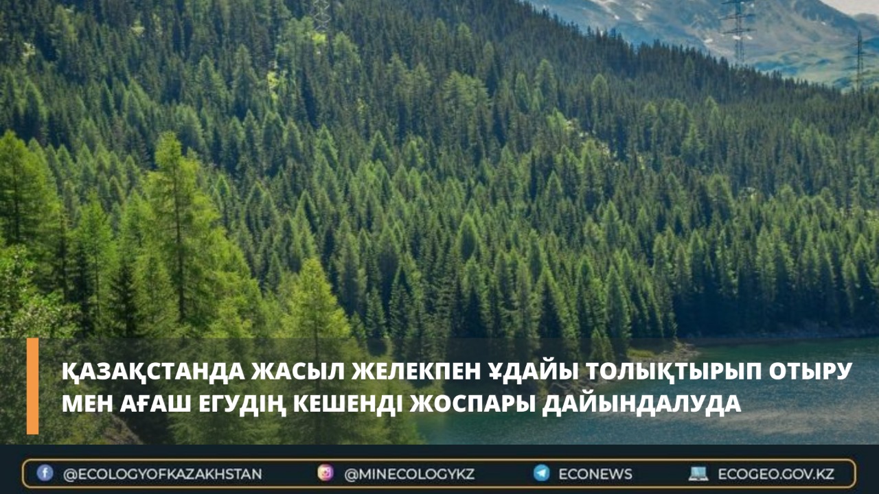 Қазақстанда жасыл желекпен ұдайы толықтырып отыру мен ағаш егудің Кешенді жоспары дайындалуда