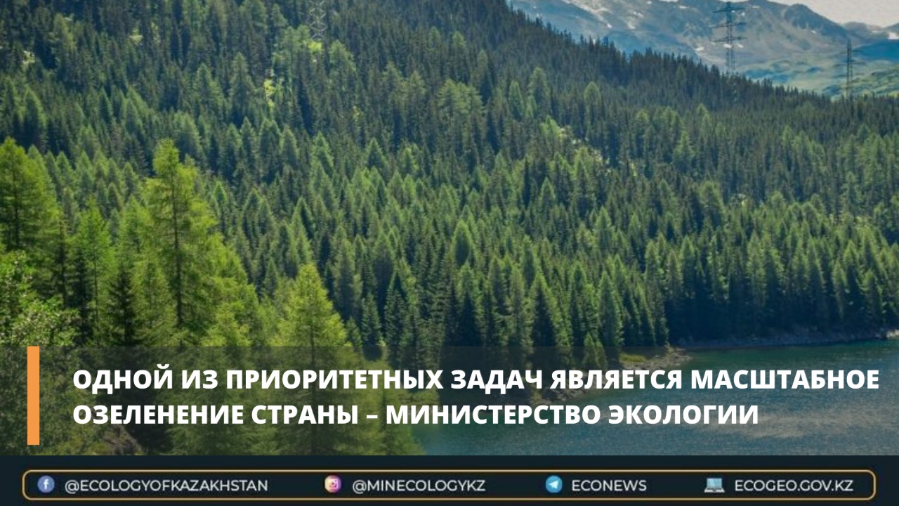 Одной из приоритетных задач является масштабное озеленение страны – министерство экологии