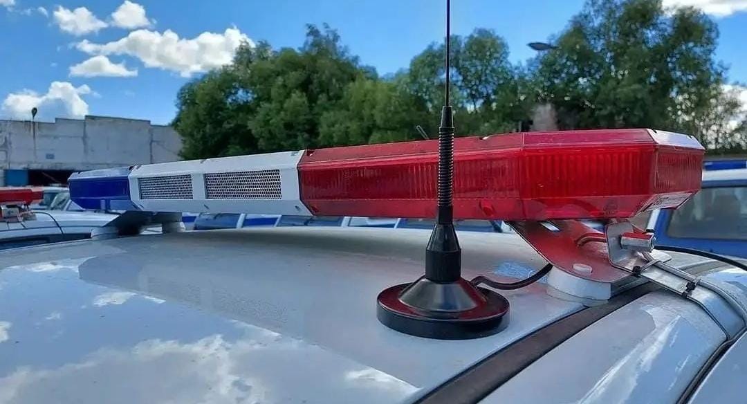 Павлодар облысында аса ірі мөлшерде есірткі заттары тәркіленді