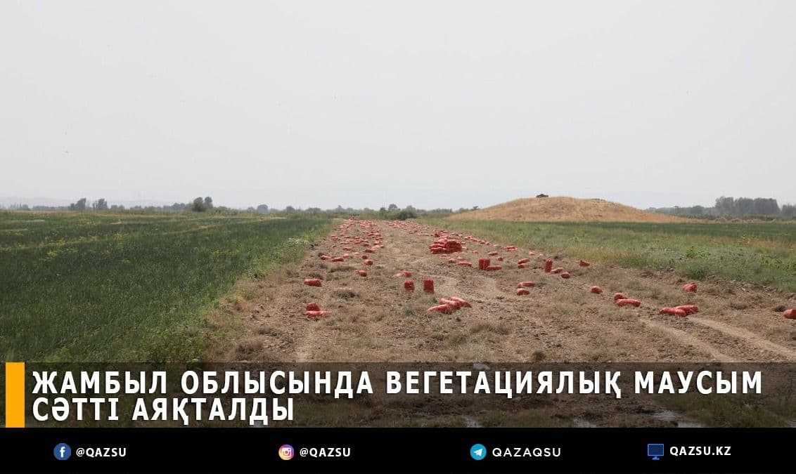 Жамбыл облысында вегетациялық маусым сәтті аяқталды