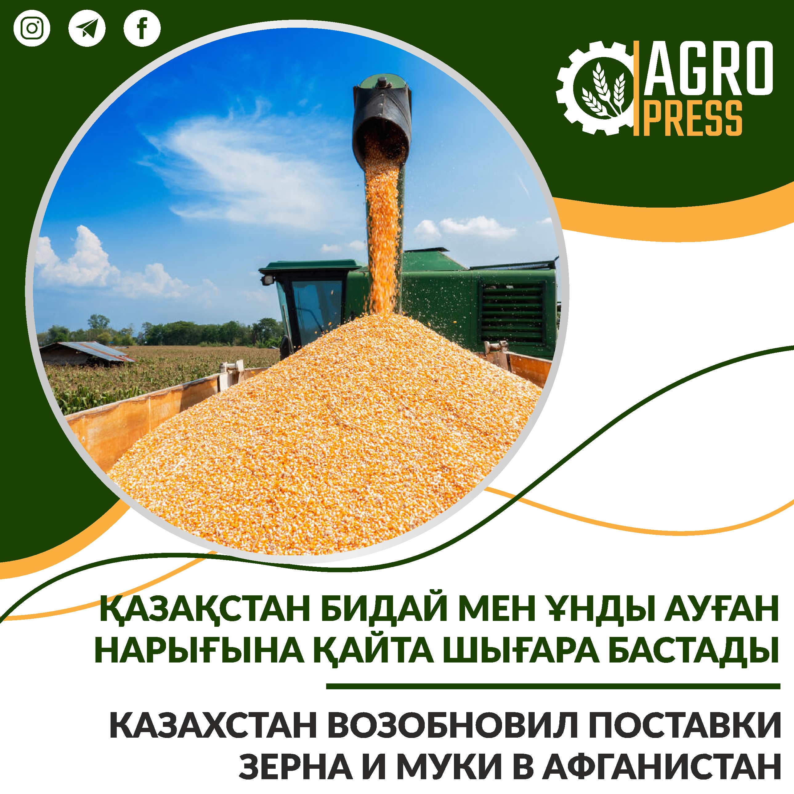 Казахстан возобновил поставки зерна и муки в Афганистан