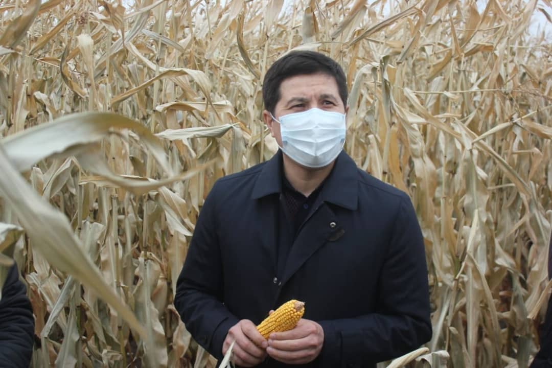 Кх работа. Лаборанты ооо кх волгарь большеглушицкий район. Комбайн полесье колхозный уборка озимой ржи. Уборка зерновых. Кфх речное липецкая область хлевенский район.