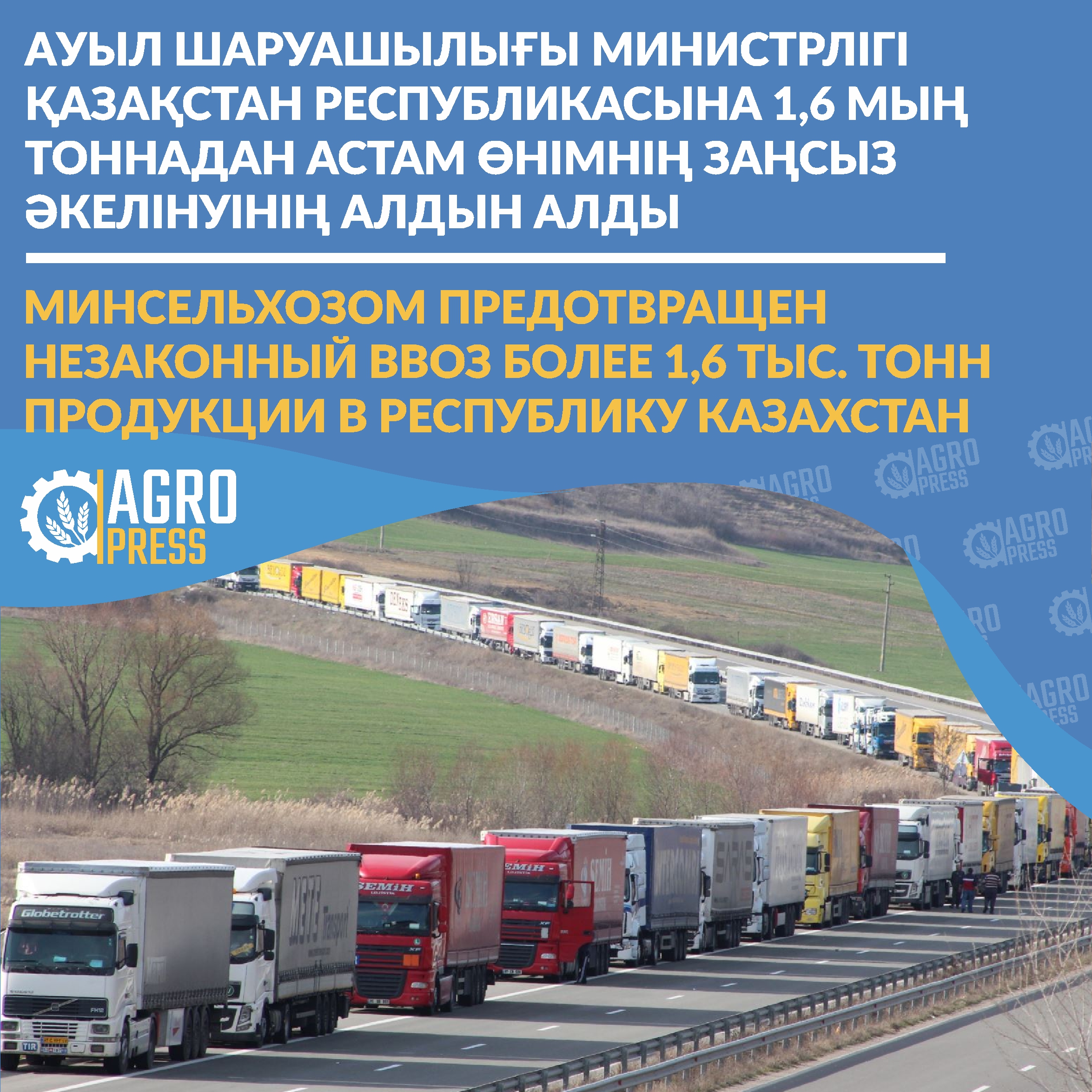 Минсельхозом предотвращен незаконный ввоз более 1,6 тыс. тонн продукции в Республику Казахстан