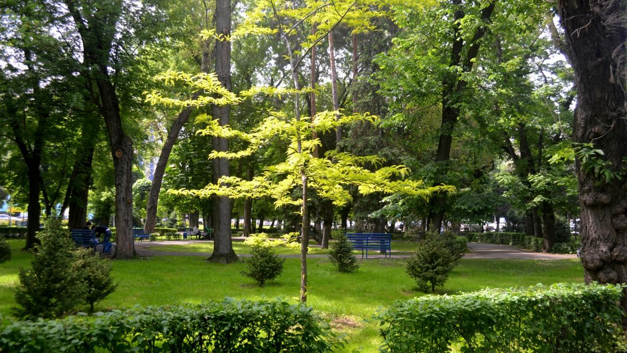В Алматы стартует акция «Зеленый город»