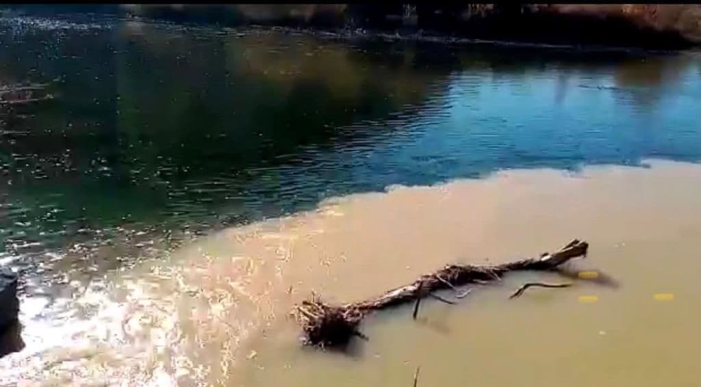 Выявлены новые факты загрязнения реки Курчум
