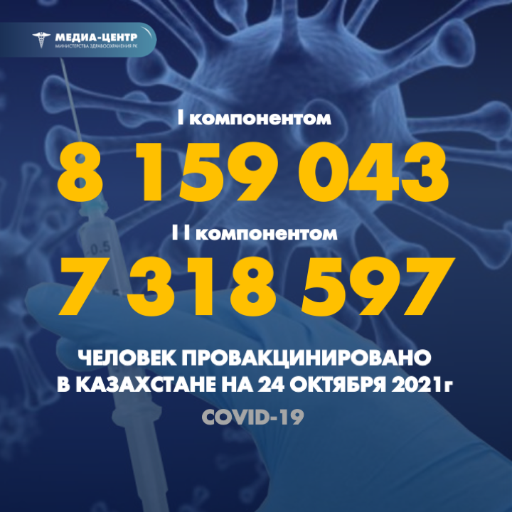 I компонентом 8 159 043 человек провакцинировано в Казахстане на 24 октября 2021 г, II компонентом 7 318 597 человек.