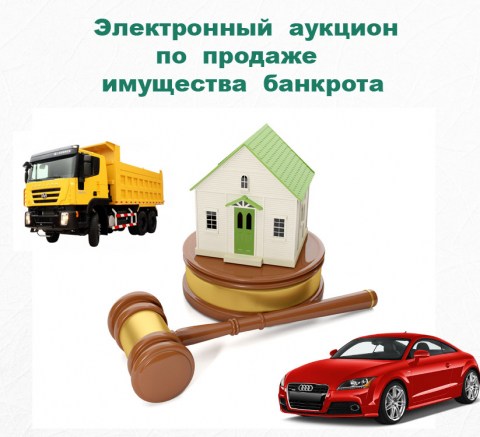 Electronic auction for the sale of the bankrupt's property