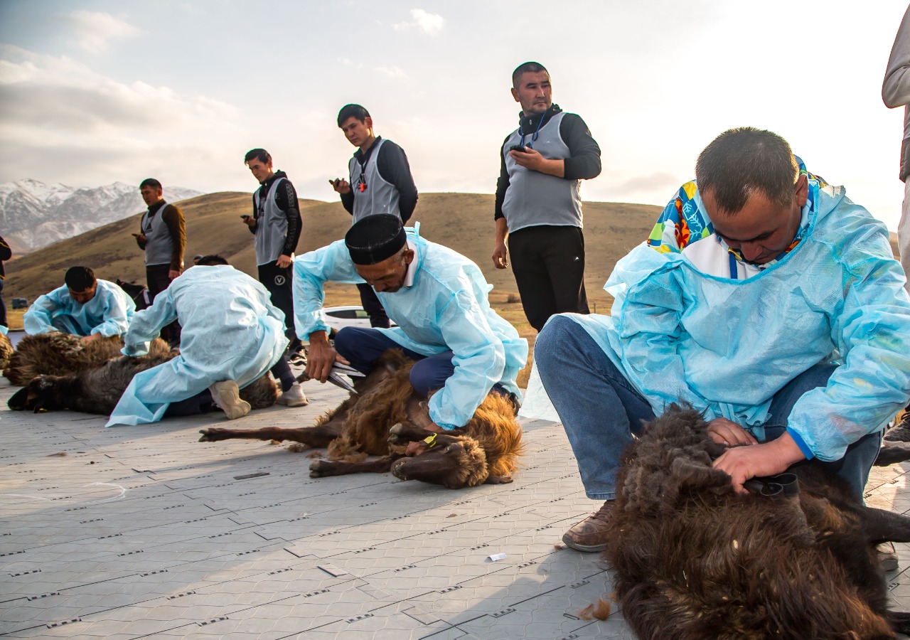 Жамбыл облысында Қазақстан малшыларының алғашқы республикалық слеті өтті