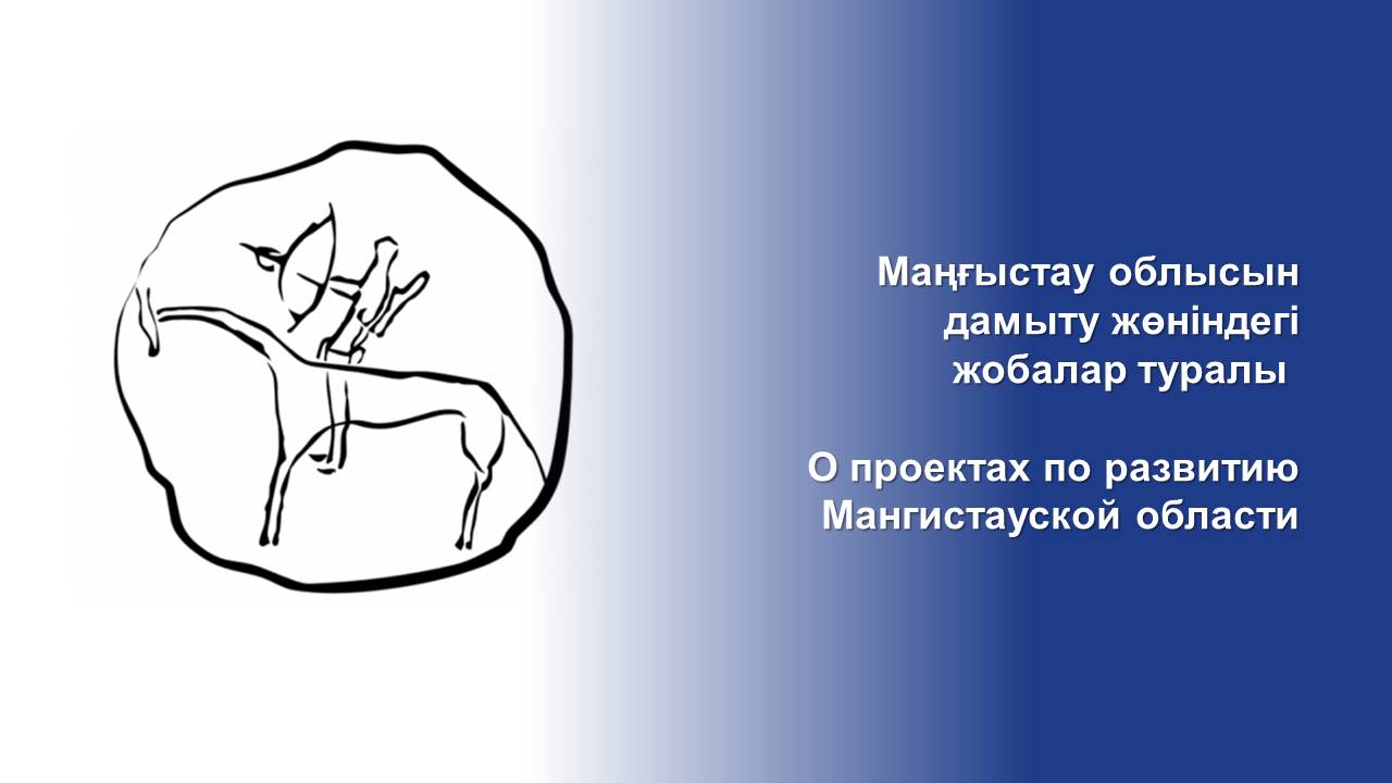 О проектах по развитию Мангистауской области