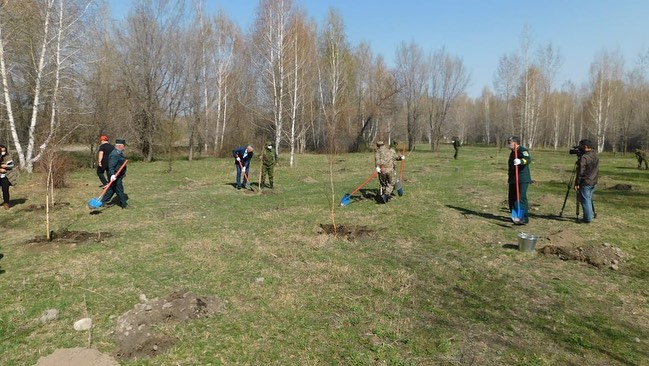 Алматы облысының мемлекеттік орман қоры  аумағында Мемлекет басшысының 2 млрд.ағаш отырғызу жөніндегі тапсырмасын орындау  туралы  баспасөз-мәслихаты