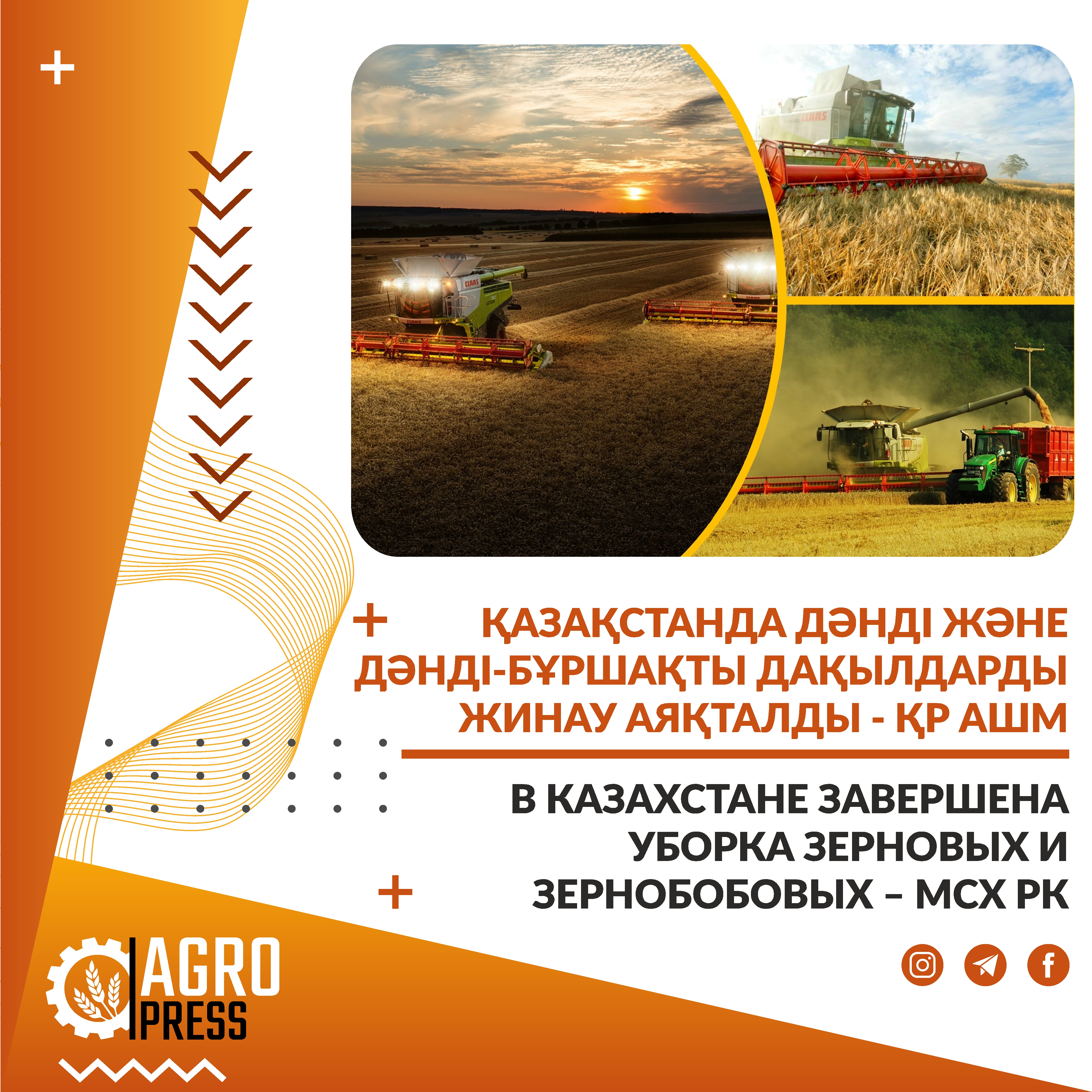 В Казахстане завершена уборка зерновых и зернобобовых – МСХ РК