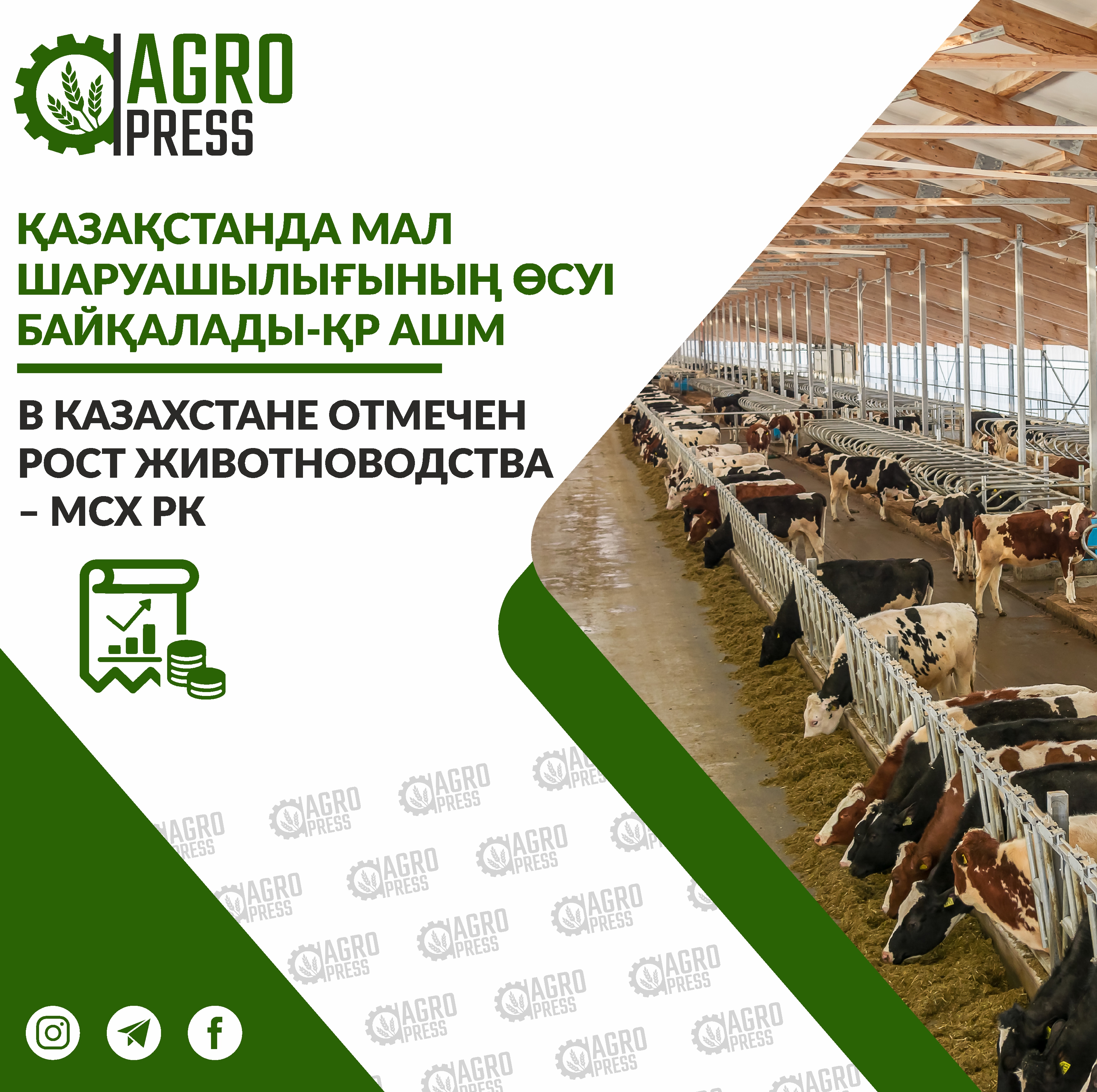 В Казахстане отмечен рост животноводства – МСХ РК