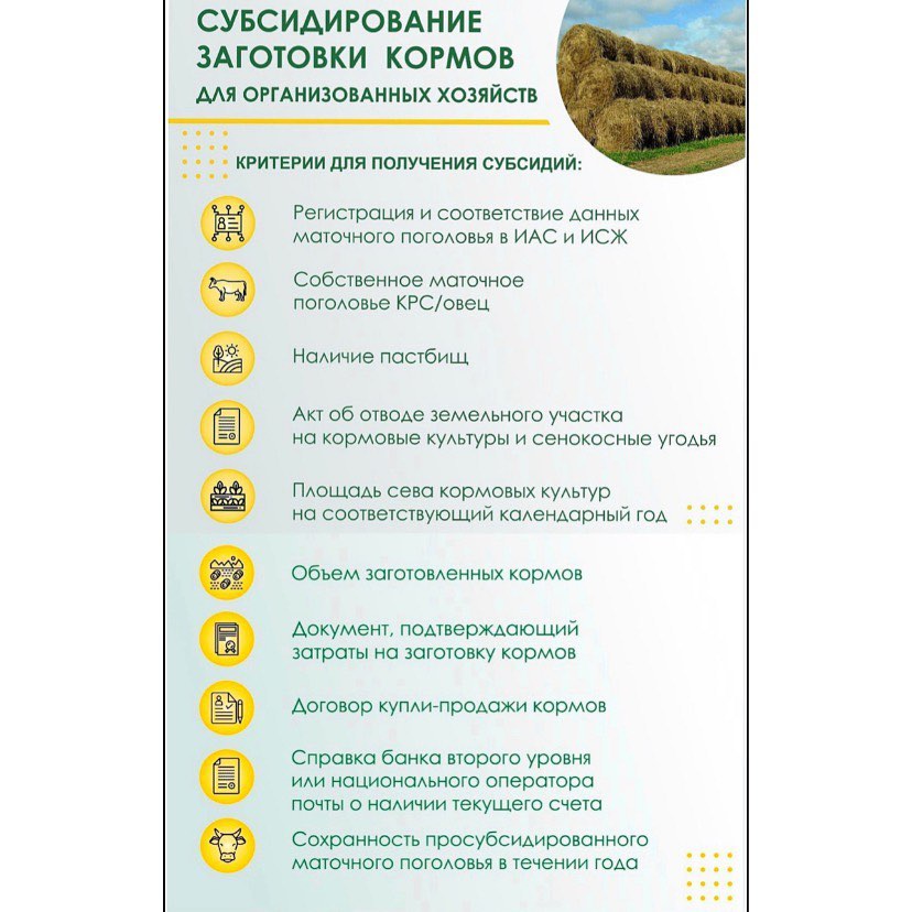 Құрметті Май ауданы мал шаруашылығы саласының кәсіпкерлері!