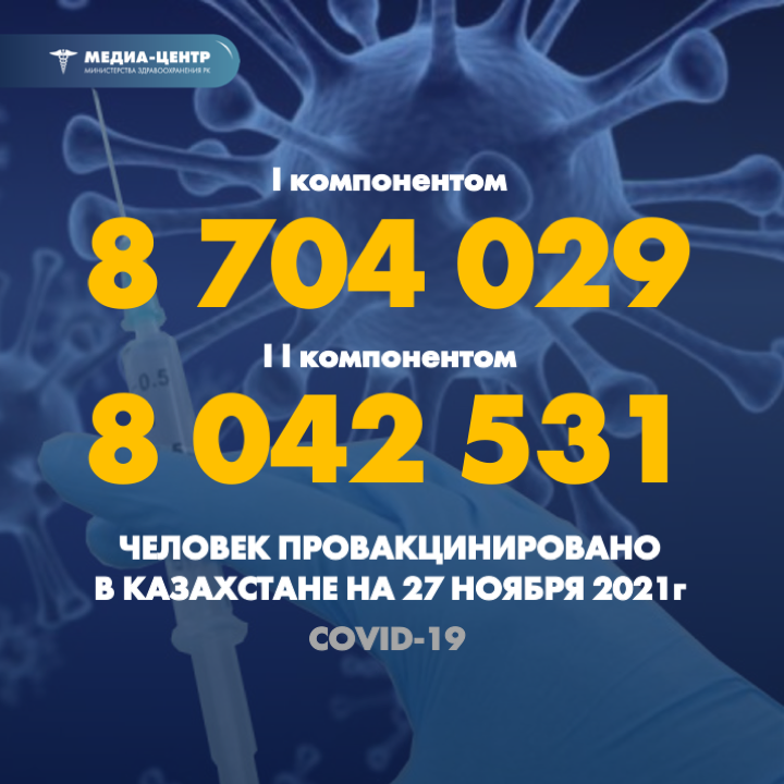 I компонентом 8 704 029 человек провакцинировано в Казахстане на 27 ноября 2021 г, II компонентом 8 042 531 человек.