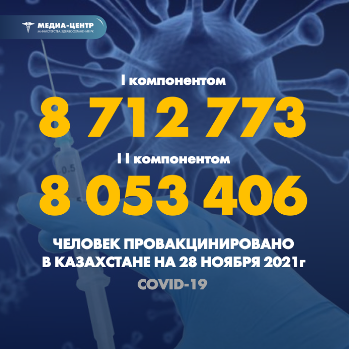 I компонентом 8 712 773 человек провакцинировано в Казахстане на 28 ноября 2021 г, II компонентом 8 053 406 человек.