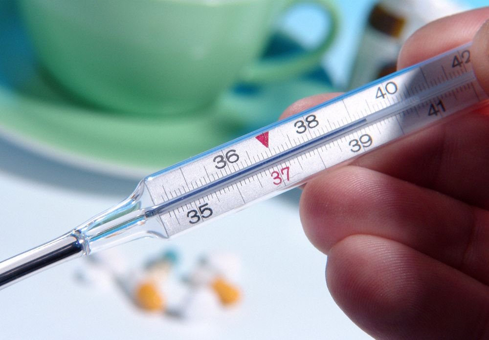 Қарағанды облысында 200 мыңнан аса адам тұмауға қарсы вакцина алды