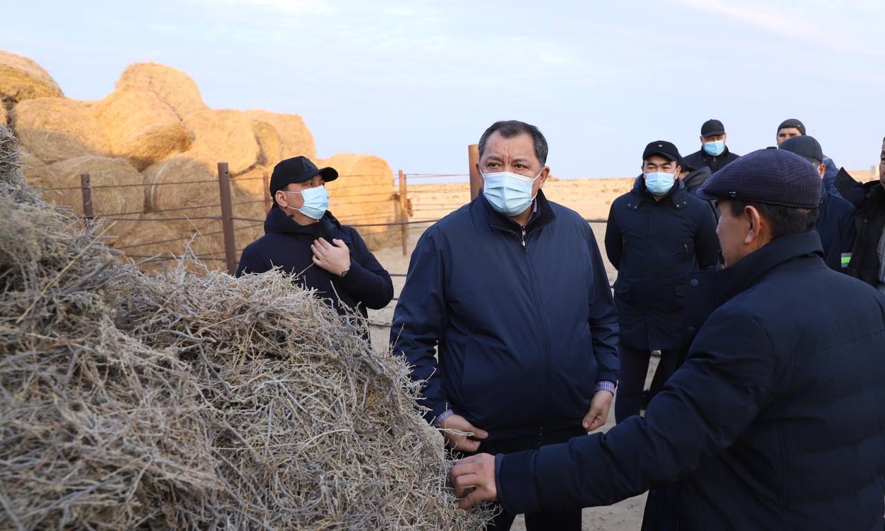 Нурлан Ногаев призвал жителей области рационально подходить к занятию животноводством