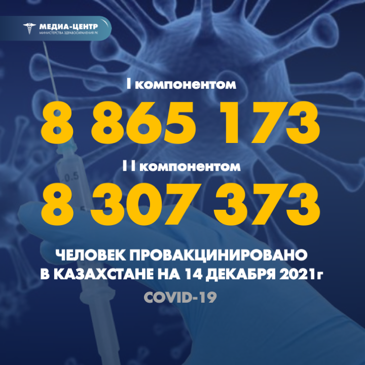 I компонентом 8 865 173 человек провакцинировано в Казахстане на 14 декабря 2021 г, II компонентом 8 307 373 человек.