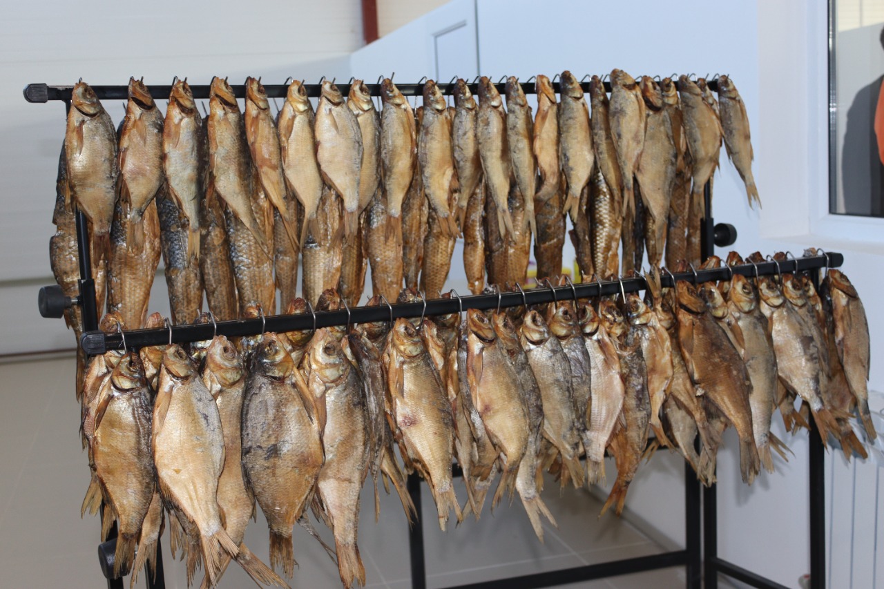 В Мангистауской области открылось рыбоперерабатывающее предприятие