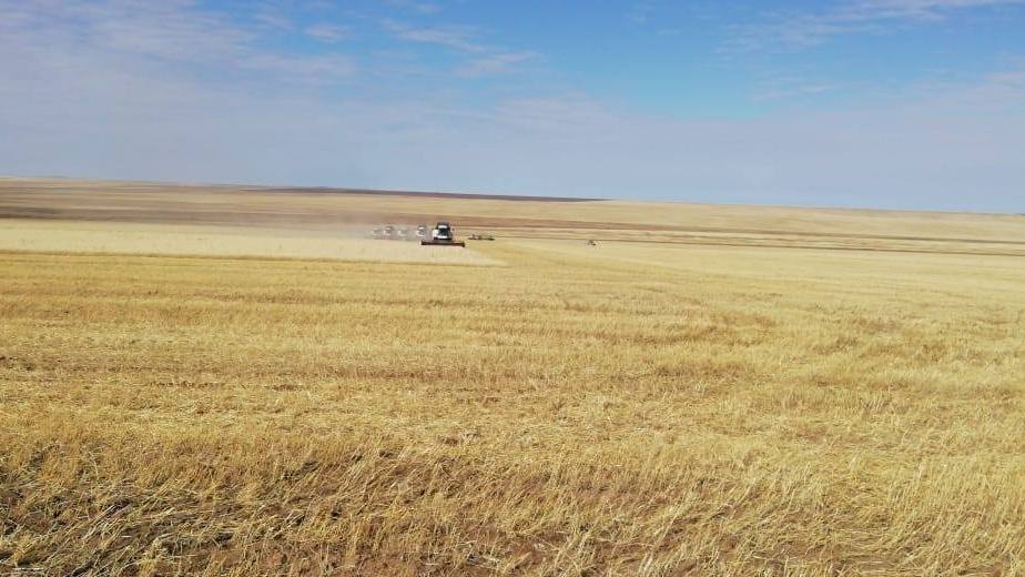 Жетілген тесіктердің жеке порно фотосуреттері