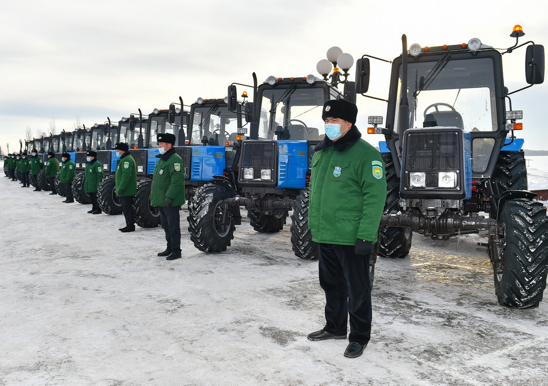 В СКО за 5 лет осуществлена посадка 16 млн деревьев