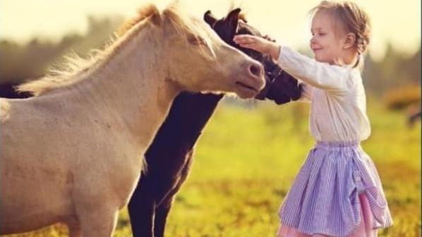 Карагандинский зоопарк объявляет набор в кружок юных биологов