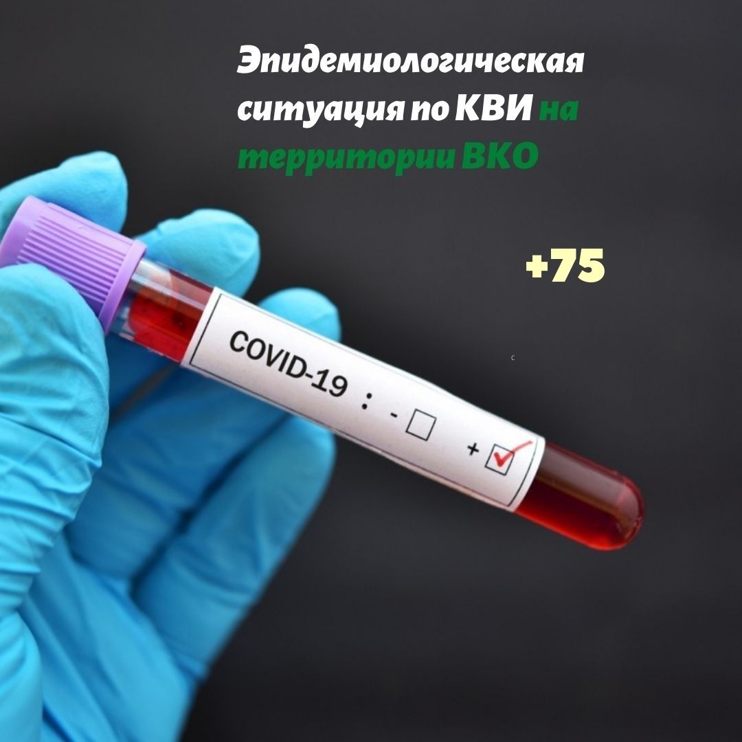 Эпидемиологическая ситуация по КВИ на территории Восточно-Казахстанской области