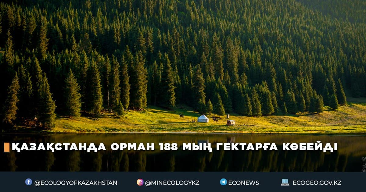 Қазақстанда орман 188 мың гектарға көбейді