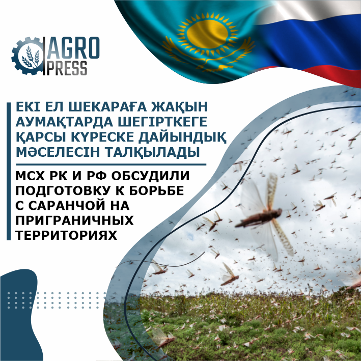 МСХ РК и РФ обсудили подготовку к борьбе с саранчой на приграничных территориях