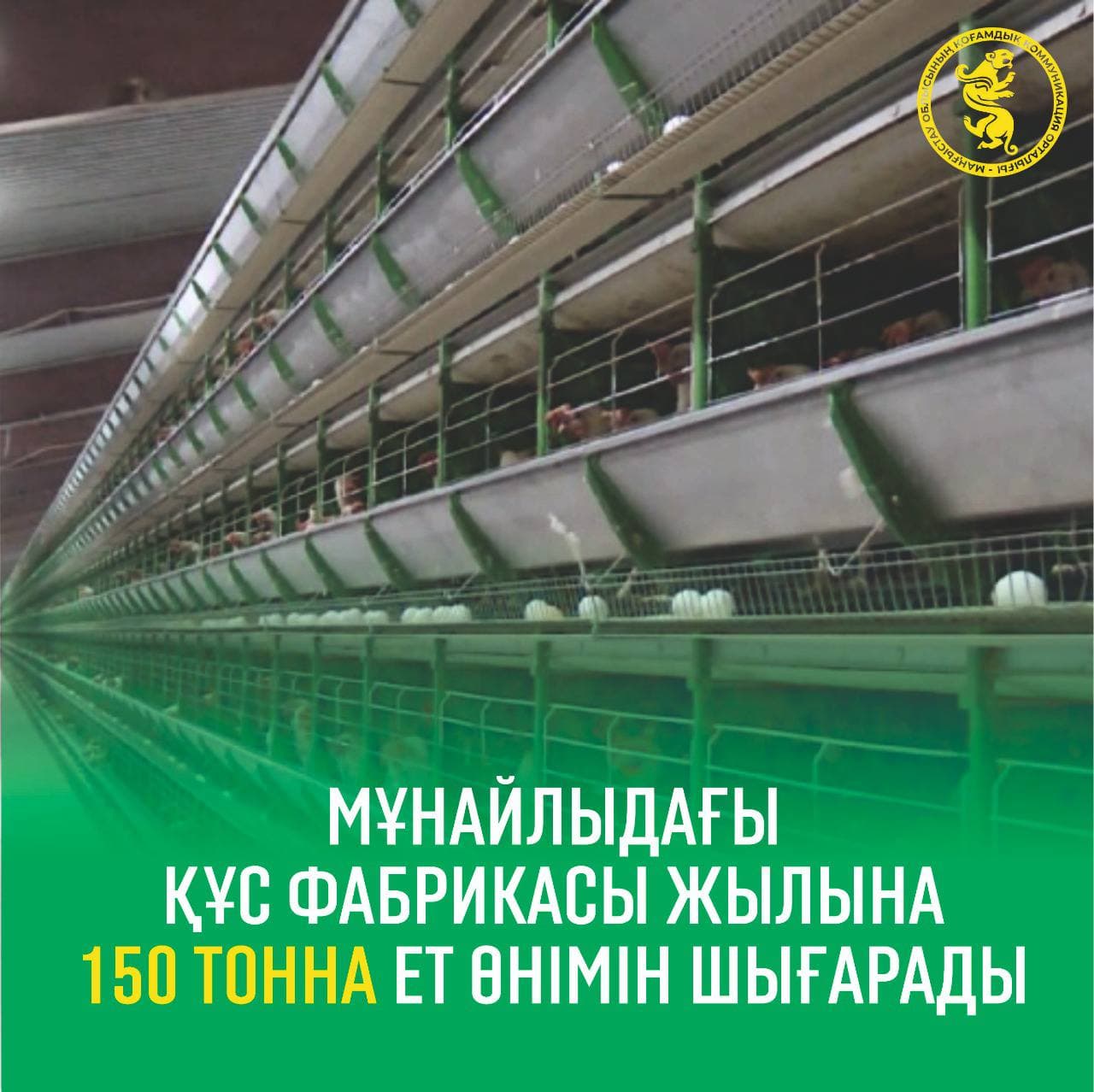 МҰНАЙЛЫДАҒЫ ҚҰС ФАБРИКАСЫ ЖЫЛЫНА 150 ТОННА ЕТ ӨНІМІН ШЫҒАРАДЫ