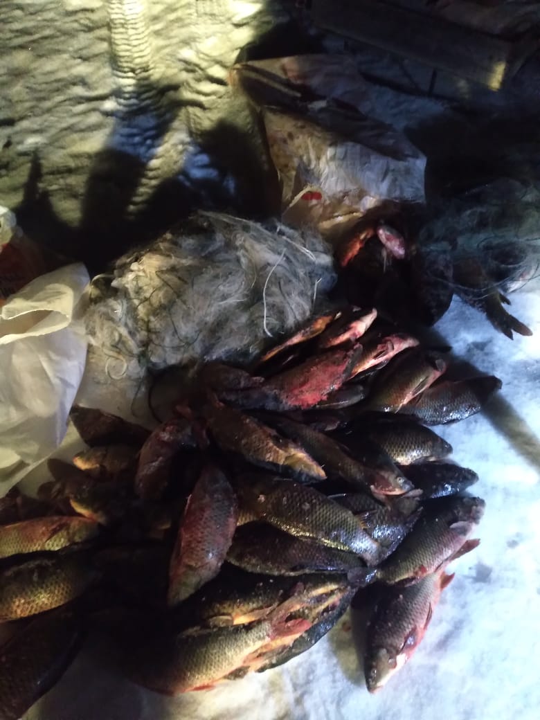 Алматы облысының полицейлері браконьерден 90 келіден астам сазан балығын тәркіледі